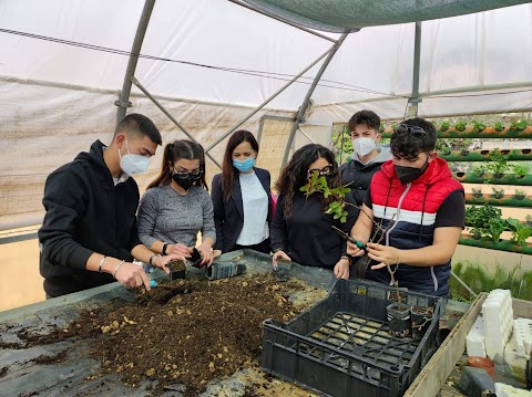 Istituto Tecnico Agrario "F. Cucuzza"