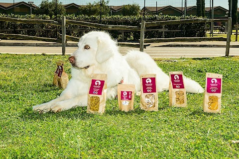 Coccomio - Slow Pet Food