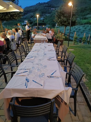 Taverna Di Bacco