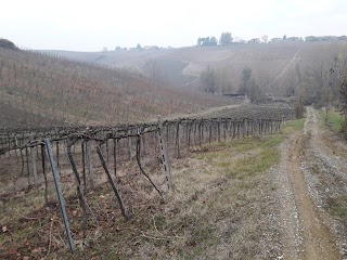 Gapolli Vino