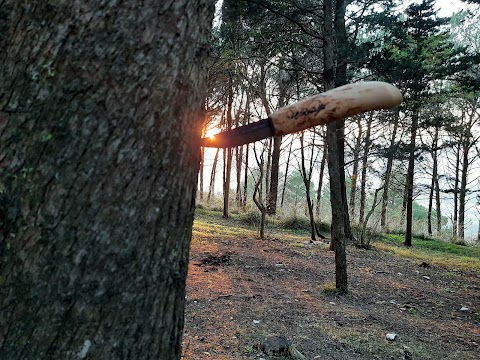 Riserva Naturale Bosco D'Alcamo