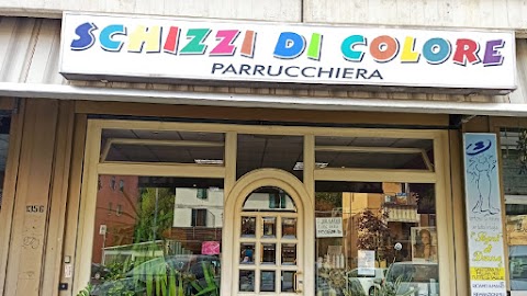 Parrucchiera Schizzi di Colore