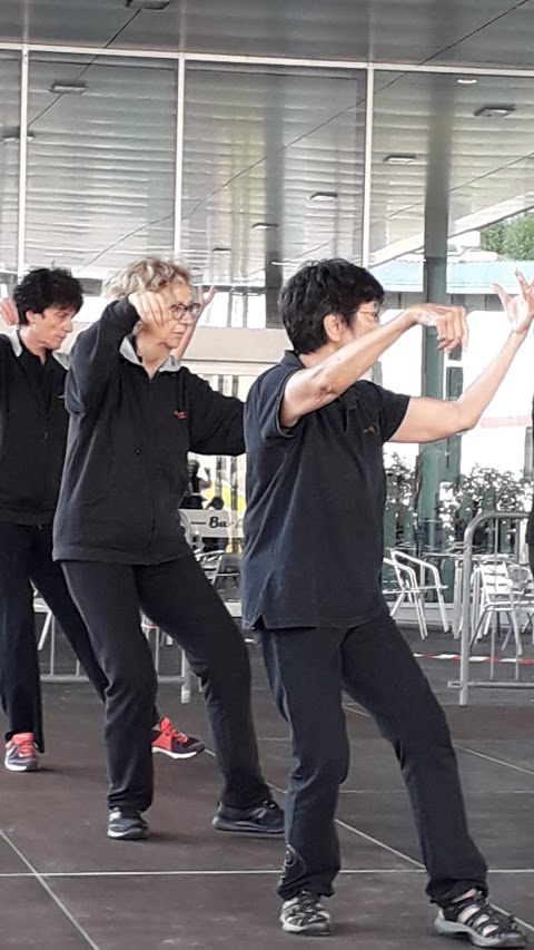 Taijiquan a Sesto S.G., Kung fu , rieducazione posturale.. Movimento e Percezione Asd .