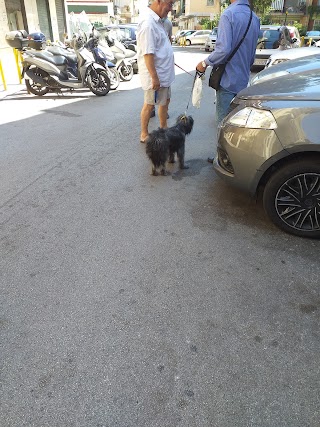 Ambulatorio Veterinario Ben Hur Di Rapacciuolo Dr. Carlo