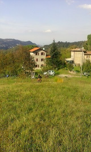 B&B Boschi Di Sopra