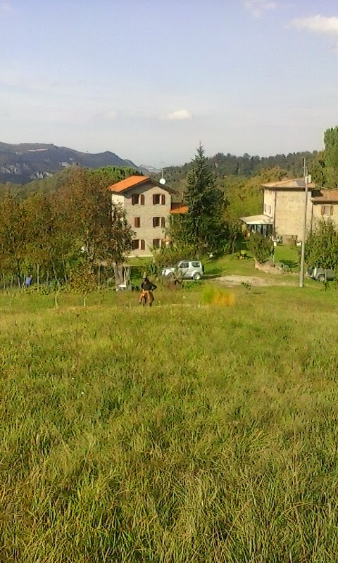 B&B Boschi Di Sopra