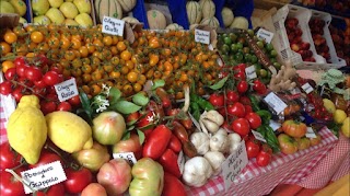 Mauro & Patrizia Alimentari di Magnanensi Giovanna