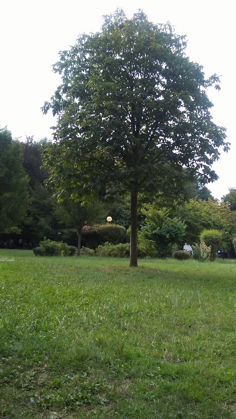 Parco De Rocchi