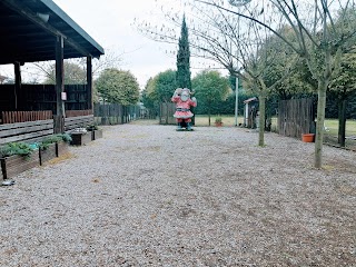 Centro Cinofilo a.s.d. Il Guinzaglio Lasco