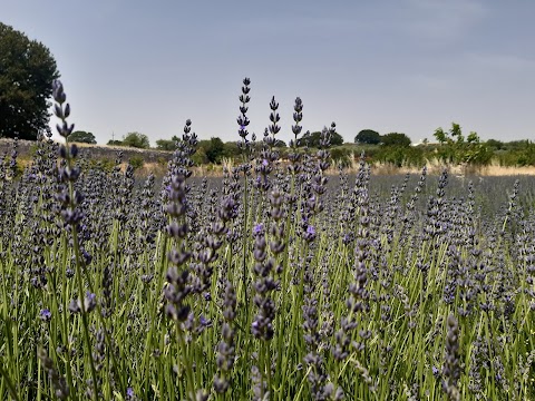 Conservatorio botanico "I giardini di Pomona"