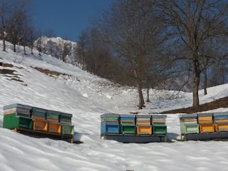 Azienda Agricola Rosaspina di Tanasa Valentina