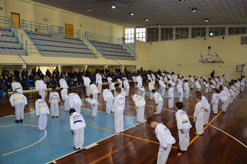 Taekwondo Gold Team Brindisi