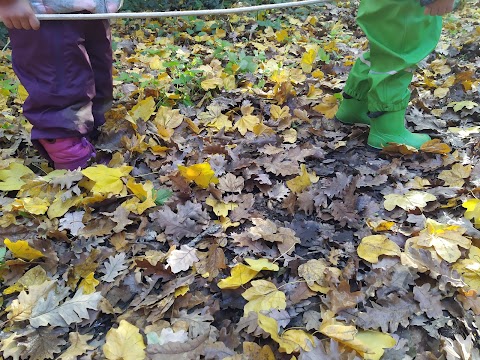 Asilo Nel Bosco SoleeTerra