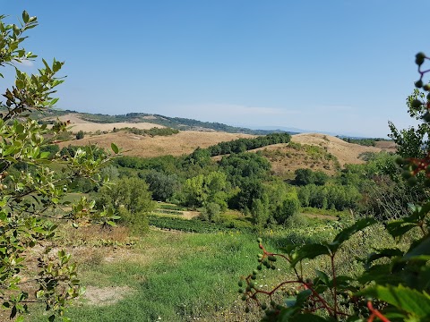 Rural Tuscany | Farmhouse Casale Sant'Anna