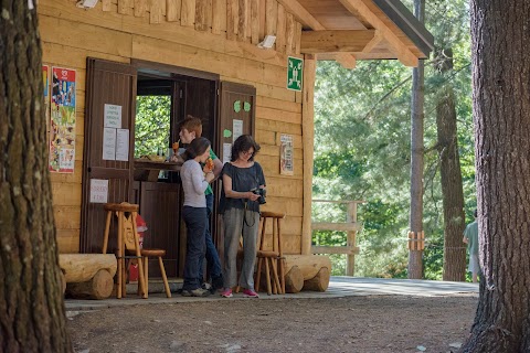 Adventure Park Lago d'Orta Le Pigne