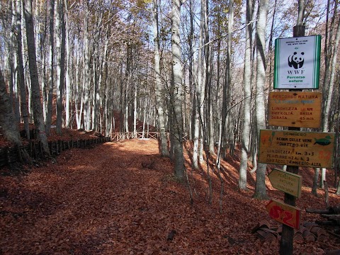 Oasi WWF Montagna di Sopra di Pannarano