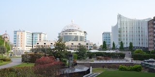 Centro Esofago “CERCA e riCERCA” - Osp. San Raffaele