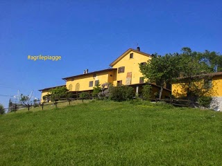 Agriturismo Le Piagge