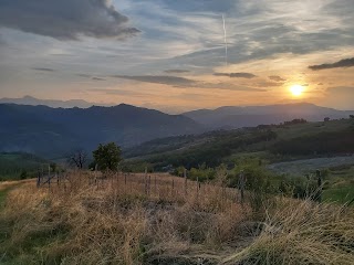 Az. Agricola Il Bosco dei Mille frutti