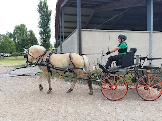 Scuderia Prato Basso A.S.D.