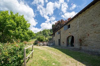 Agriturismo Tenuta Mazzini - Podere Il Moro