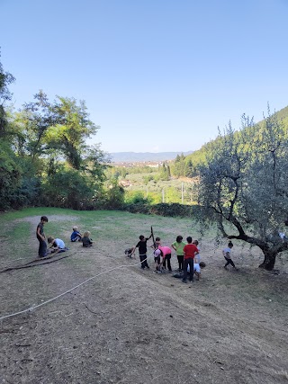 Educhiamo nel Bosco - Prato