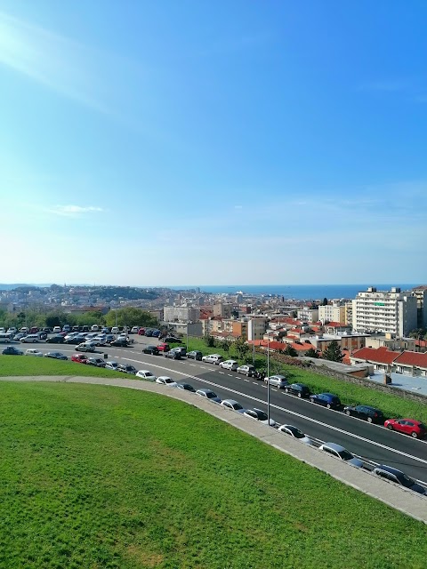 Università degli Studi di Trieste