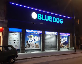 Blue dog