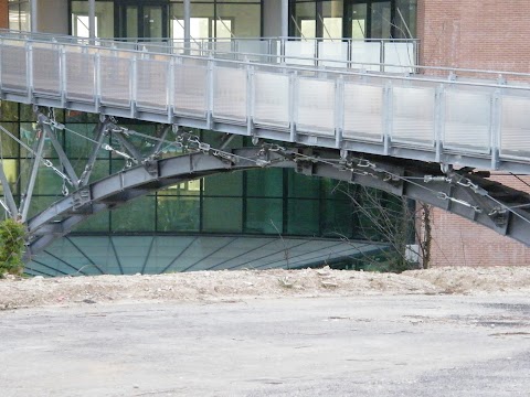 Università degli Studi di Perugia - Facoltà di Medicina e Chirurgia