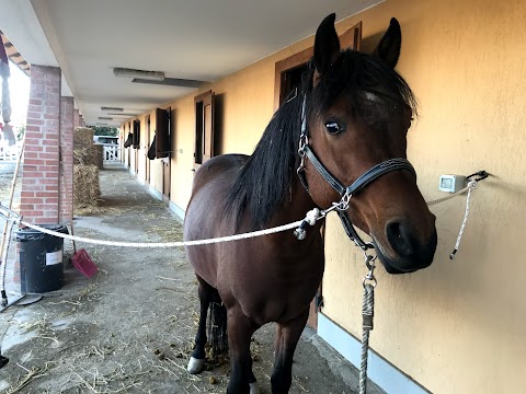 Tenuta i Ginepri - Agriturismo e scuola di equitazione