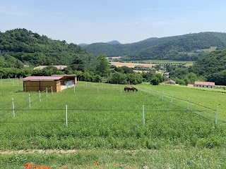 La Terrazza dei Cavalli