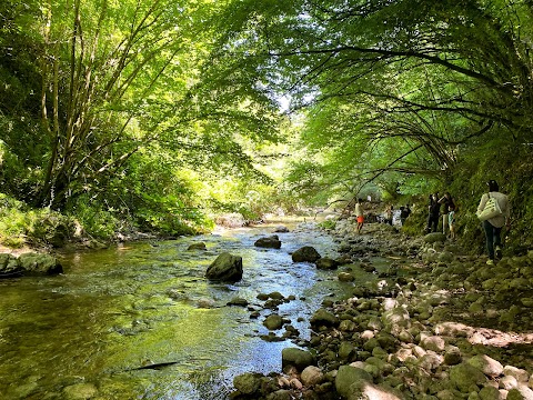 Bioparco di Montella