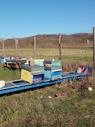 Autofficina Del Gallo e Fioravanti Centro assistenza autorrizzato Fiat - ACI