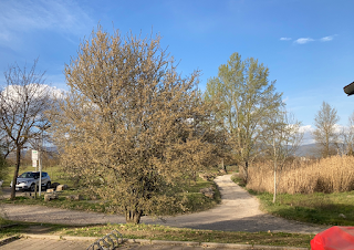 Parco Fluviale "Di là d'Arno"