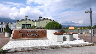 Carollo Fiori S.R.L.