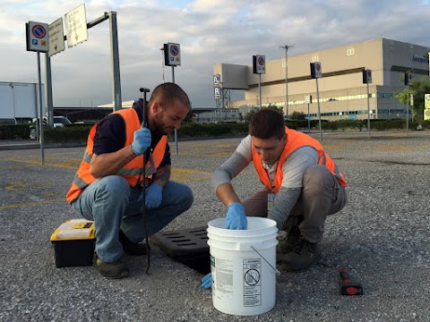 Ecosistem Sas di Orazio Gianluca