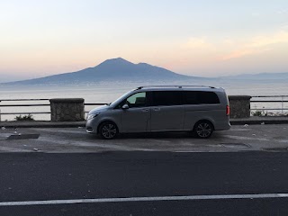 SORRENTO CAR DRIVER di Marco Puglia