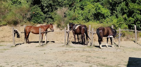 Centro Equestre Il Baio Oscuro