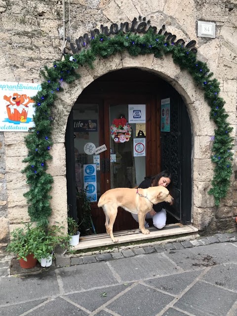 Improntanimale di Stella Pesoli