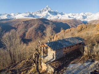 MonViso Institute