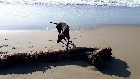 Pelota Beach