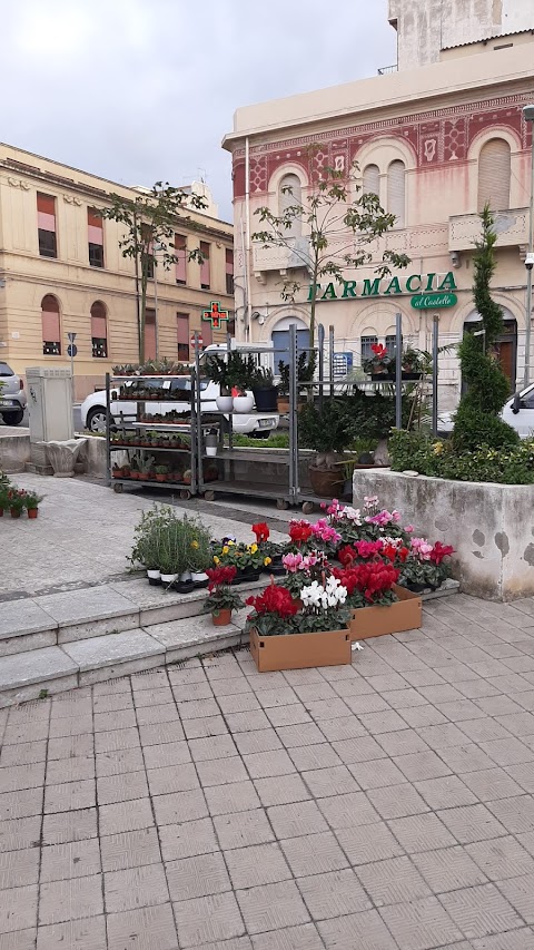 Il Giardino Della Casa Del Sole Di Nocerino Giovanni.