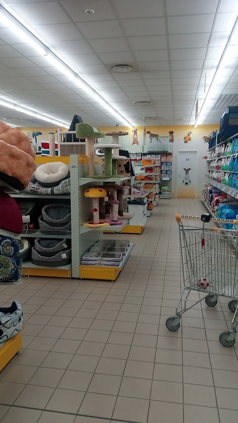Foto di Arcaplanet - Via Enrico Berlinguer 6, Gadesco-pieve Delmona (CR), Italia