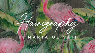 Hairography di Marta Olivati