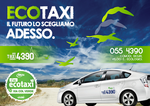 4390 Taxi Firenze