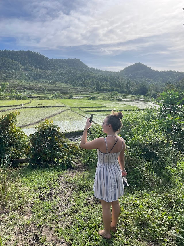 Rice Terraces Pilar