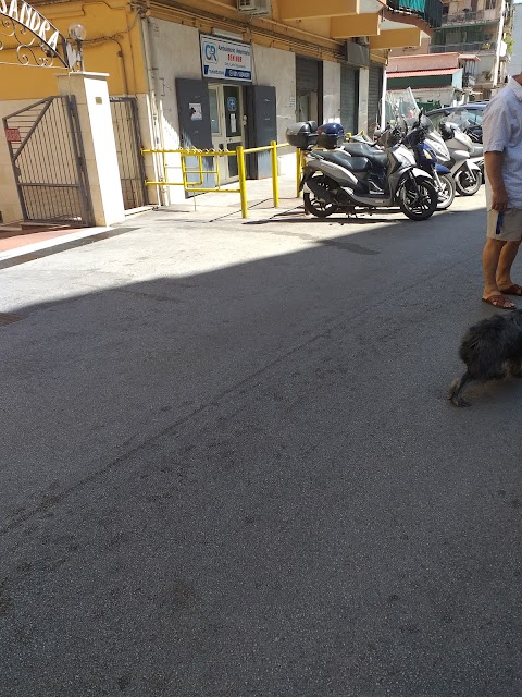 Ambulatorio Veterinario Ben Hur Di Rapacciuolo Dr. Carlo