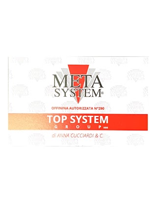 Top System Group Sas Officina Elettrauto E Meccanica