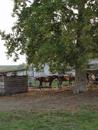 Ropes Ranch