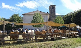 Bamboo Cafè Tabacchi